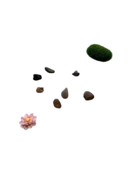 Nature Kit
